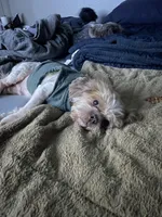 processed/53b548c8-947e-4511-a9f0-e05fa5f41699/facility/cc24755d-6b95-439b-8404-cce0ba5199ff