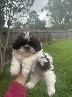 processed/53b548c8-947e-4511-a9f0-e05fa5f41699/facility/d9a5842d-59b2-4547-9f8f-a7d6c8f87106