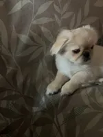 processed/53bb170a-a136-4b17-8912-c3f18187cb22/listing/0dbd3ca8-c9b6-44cc-9f04-e3c04b79e703/3317292c-c995-4cfc-a6b5-ecb4795b9fd5