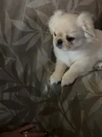 processed/53bb170a-a136-4b17-8912-c3f18187cb22/listing/0dbd3ca8-c9b6-44cc-9f04-e3c04b79e703/5d392c82-da91-4cad-9b23-f9d875b3346d