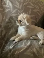 processed/53bb170a-a136-4b17-8912-c3f18187cb22/listing/0dbd3ca8-c9b6-44cc-9f04-e3c04b79e703/80459703-4817-4092-a981-23d7f8a0293f