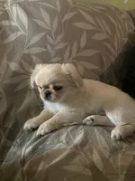 processed/53bb170a-a136-4b17-8912-c3f18187cb22/listing/0dbd3ca8-c9b6-44cc-9f04-e3c04b79e703/85e90ccb-3b6b-4d14-b92d-1194afbc2be5