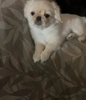 processed/53bb170a-a136-4b17-8912-c3f18187cb22/listing/0dbd3ca8-c9b6-44cc-9f04-e3c04b79e703/cfddb78b-2226-4cfe-9cb7-a3dd1390f838