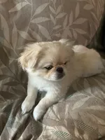 processed/53bb170a-a136-4b17-8912-c3f18187cb22/listing/972c002e-750d-480e-b6a0-cf4f706ca466/1cbbf7d7-0d7c-4fb0-b58f-a1f39a23ae31