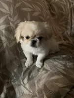 processed/53bb170a-a136-4b17-8912-c3f18187cb22/listing/972c002e-750d-480e-b6a0-cf4f706ca466/3c044e5e-40bc-4dad-9fa0-a96289fc4e6c