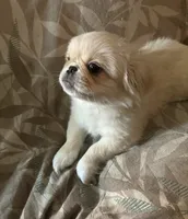 processed/53bb170a-a136-4b17-8912-c3f18187cb22/listing/972c002e-750d-480e-b6a0-cf4f706ca466/3db64a3d-bfd5-4c1a-b240-48f825d6cea1