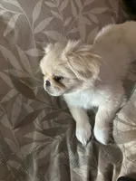 processed/53bb170a-a136-4b17-8912-c3f18187cb22/listing/972c002e-750d-480e-b6a0-cf4f706ca466/b21b2484-e784-4018-9d78-0cb371fa48e2