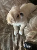 processed/53bb170a-a136-4b17-8912-c3f18187cb22/listing/972c002e-750d-480e-b6a0-cf4f706ca466/d34fb617-4229-49d2-a1aa-6a0295d9f1c6