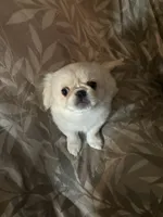 processed/53bb170a-a136-4b17-8912-c3f18187cb22/listing/972c002e-750d-480e-b6a0-cf4f706ca466/eeb918a1-d513-4177-98dc-f729312573ea