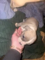 processed/53bb170a-a136-4b17-8912-c3f18187cb22/listing/b57985bb-d307-4839-adb4-51a7c0775f07/1e546c78-ef9c-4b30-9d8c-e7ffc24bafd7