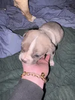 processed/53bb170a-a136-4b17-8912-c3f18187cb22/listing/b57985bb-d307-4839-adb4-51a7c0775f07/810b8cfa-f7e1-4d89-8890-cf474d00850d