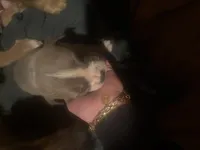 processed/53bb170a-a136-4b17-8912-c3f18187cb22/listing/b57985bb-d307-4839-adb4-51a7c0775f07/dea9f8d9-6290-4f97-b4df-523070e85f06