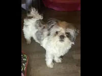 processed/53bb7e2e-571b-4180-998f-471f30918e70/facility/21f06cd0-4697-4096-8095-fd0e8785ae17