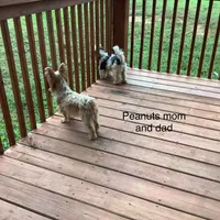 processed/53bb7e2e-571b-4180-998f-471f30918e70/facility/5d77566e-431d-4588-95b9-d85be5b8fe15