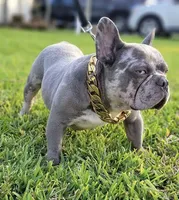 processed/53c44ad7-e8b3-48aa-b5c2-21f22dbc6605/facility/00256ef9-aac0-4d7e-b4bb-f26eee3cc27a