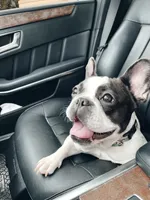 processed/53c44ad7-e8b3-48aa-b5c2-21f22dbc6605/facility/cdb11310-93ed-41d4-8692-82b7a31b5b58