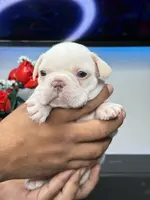 processed/53c44ad7-e8b3-48aa-b5c2-21f22dbc6605/listing/5ea2938f-e131-47c6-9840-e4c18d079932/a765b1f9-e09e-4e36-a19c-594c9ed9d4c2