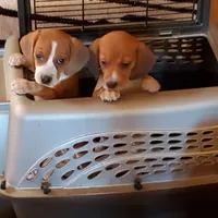 processed/53c4fa89-6a92-4c29-93dd-323ac146a59d/facility/272af797-16cf-43ac-b427-edf240bec1c6