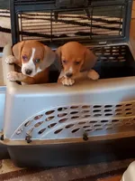 processed/53c4fa89-6a92-4c29-93dd-323ac146a59d/facility/272af797-16cf-43ac-b427-edf240bec1c6