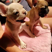 processed/53c4fa89-6a92-4c29-93dd-323ac146a59d/facility/74ebe026-a218-4fd9-8d23-881381d2bfd5