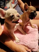 processed/53c4fa89-6a92-4c29-93dd-323ac146a59d/facility/74ebe026-a218-4fd9-8d23-881381d2bfd5