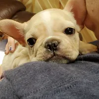 processed/53c4fa89-6a92-4c29-93dd-323ac146a59d/facility/9e7c5122-a945-4d24-9af3-fa40354d3b11