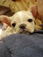 processed/53c4fa89-6a92-4c29-93dd-323ac146a59d/facility/9e7c5122-a945-4d24-9af3-fa40354d3b11