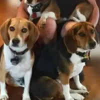 processed/53c4fa89-6a92-4c29-93dd-323ac146a59d/facility/b5a7945a-659b-4a78-87c8-da59844b735a