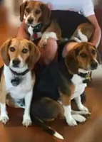 processed/53c4fa89-6a92-4c29-93dd-323ac146a59d/facility/b5a7945a-659b-4a78-87c8-da59844b735a