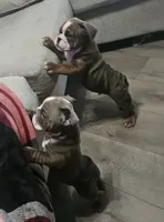 processed/53c55ca0-245a-4bc1-95c7-5fc35331b3a2/listing/35e54faf-4148-4dbb-8d11-8039af39e7df/2e00b8a6-62d5-4ca4-8ecf-f6bd842d7810