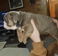 processed/53c55ca0-245a-4bc1-95c7-5fc35331b3a2/listing/49b936c2-5a50-41b3-b012-52d3683e0dcf/1ca37cd0-6dee-461b-b736-5953fa70cdf8