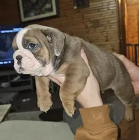 processed/53c55ca0-245a-4bc1-95c7-5fc35331b3a2/listing/49b936c2-5a50-41b3-b012-52d3683e0dcf/66db3173-63bb-4f89-a60c-afbe988a1192