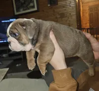 processed/53c55ca0-245a-4bc1-95c7-5fc35331b3a2/listing/49b936c2-5a50-41b3-b012-52d3683e0dcf/9de24377-e5b3-482a-a382-80735c91405d