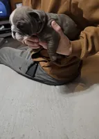 processed/53c55ca0-245a-4bc1-95c7-5fc35331b3a2/listing/49db4022-1cc7-4df1-95c2-afb254fd23c0/0c7ca3fb-84fc-4ccc-bedb-466c2be15e69