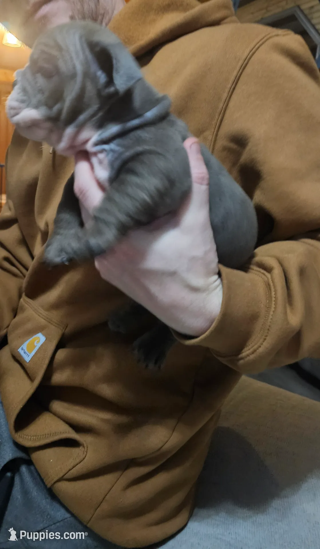 processed/53c55ca0-245a-4bc1-95c7-5fc35331b3a2/listing/49db4022-1cc7-4df1-95c2-afb254fd23c0/5f1ba102-f1e5-4c75-8456-41b5ebfb7a45