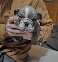 processed/53c55ca0-245a-4bc1-95c7-5fc35331b3a2/listing/49db4022-1cc7-4df1-95c2-afb254fd23c0/de31cb90-f14a-445a-a8d9-cabf53d34df2