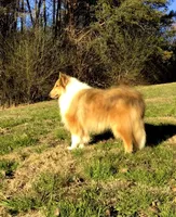 processed/53c8f49a-c2f1-4eb5-b8cf-479bd18ead4a/listing/8ea59e60-c539-44a8-ad37-00c251acd429/6a8ded04-dbbb-4f3d-b73e-0af90e186bab