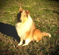 processed/53c8f49a-c2f1-4eb5-b8cf-479bd18ead4a/listing/8ea59e60-c539-44a8-ad37-00c251acd429/82fb274a-a76d-4d81-99f9-1d6536e61700