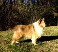 processed/53c8f49a-c2f1-4eb5-b8cf-479bd18ead4a/listing/8ea59e60-c539-44a8-ad37-00c251acd429/c4b7321a-456f-4976-a7de-573d89b73635