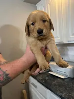 processed/53d0336a-feb6-41e5-8494-02be4c264b13/listing/64125f1d-d52d-4e1a-9d5a-4ef3e34c3aa3/20a27bab-d123-4de0-84f3-2ce1bafc7b36