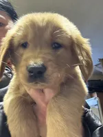 processed/53d0336a-feb6-41e5-8494-02be4c264b13/listing/64125f1d-d52d-4e1a-9d5a-4ef3e34c3aa3/84f16bf1-4a37-48b7-9852-60fbc7722cdf