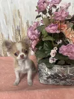 processed/53d16e7a-65a8-4b1c-a2ab-45c571f52d3b/listing/e024892e-90a2-43ca-b9f1-f8db38022e87/522b4505-3ce0-4449-9575-c396acc2ce87