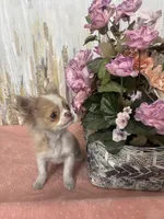 processed/53d16e7a-65a8-4b1c-a2ab-45c571f52d3b/listing/e024892e-90a2-43ca-b9f1-f8db38022e87/cde0fa91-98fe-41f3-8e05-edd2d7319375