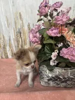 processed/53d16e7a-65a8-4b1c-a2ab-45c571f52d3b/listing/e024892e-90a2-43ca-b9f1-f8db38022e87/f5523dd2-367c-4bd0-91ec-a06cbe1e87c2