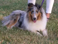 processed/53e0351e-49df-48dd-b40a-f5d6cc011437/facility/06cd5ea4-f8df-45de-95f2-123f8ee5dc0c