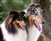 processed/53e0351e-49df-48dd-b40a-f5d6cc011437/facility/183f1ae3-7ca8-4c4d-bb77-1ca2abd1780a