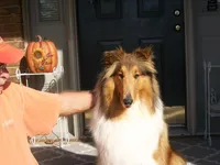 processed/53e0351e-49df-48dd-b40a-f5d6cc011437/facility/9bec1544-e95a-4090-86e1-c1280ce149ae