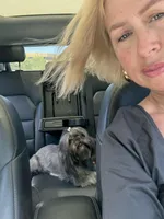 AKC SHIH TZU *Litter*, a  Shih Tzu for sale in Escondido, CA – Photo 3 of 7