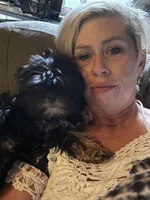 AKC SHIH TZU *Litter*, a  Shih Tzu for sale in Escondido, CA – Photo 6 of 7