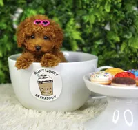 processed/53ec6c31-6d37-480b-b99b-d0c8cb6a8060/facility/1ee784c1-ec91-4bc3-afd5-e44a6415204f